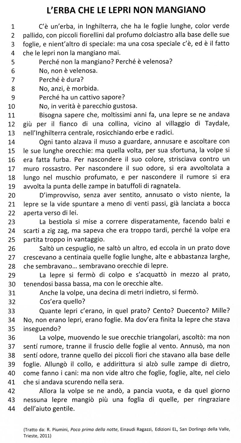 Prova invalsi on line 2003-2004, italiano, seconda elementare